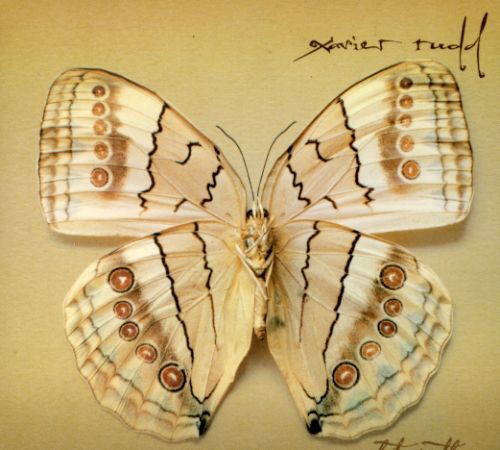 Rudd, Xavier: White Moth