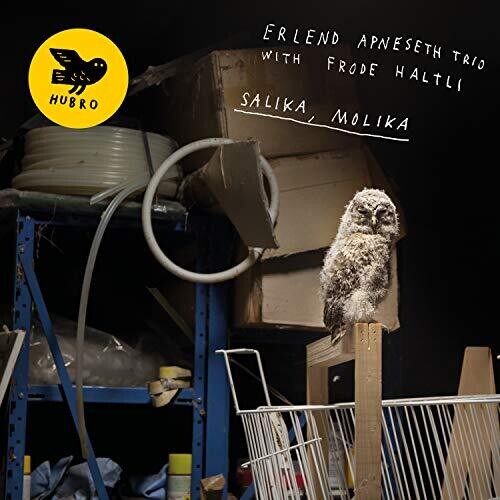 Apneseth, Erlend Trio / Haltli, Frode: Salika, Molika