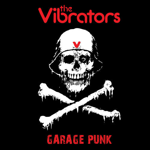 Vibrators: Garage Punk