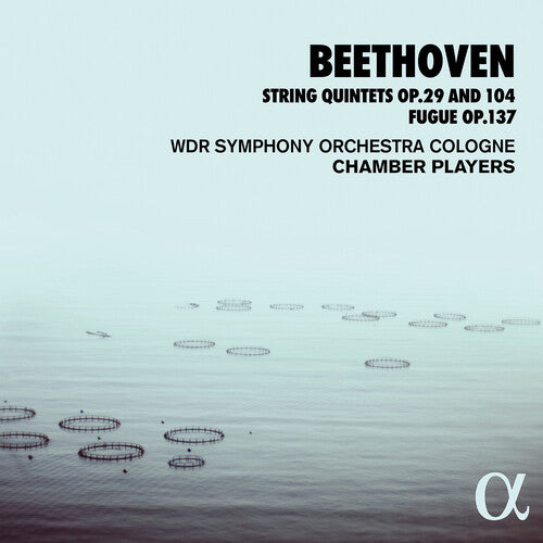 Beethoven: String Quintets 29 & 104