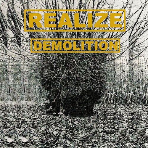 Realize: Demolition