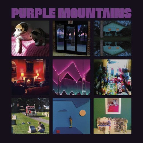 Purple Mountains: Purple Mountains