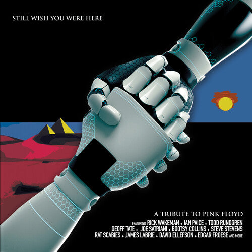 Pink Floyd Tribute: Still Wish You Were Here / Var: Pink Floyd Tribute: Still Wish You Were Here / Various