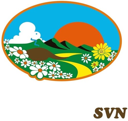 SVN: SVN