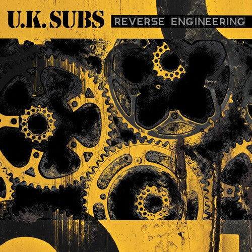 Uk Subs: Reverse Engineering