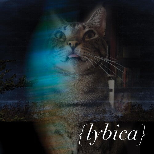 Lybica: Lybica