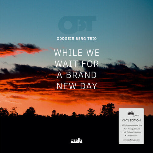 Oddgeir Berg Trio: While We Wait For A Brand New Day