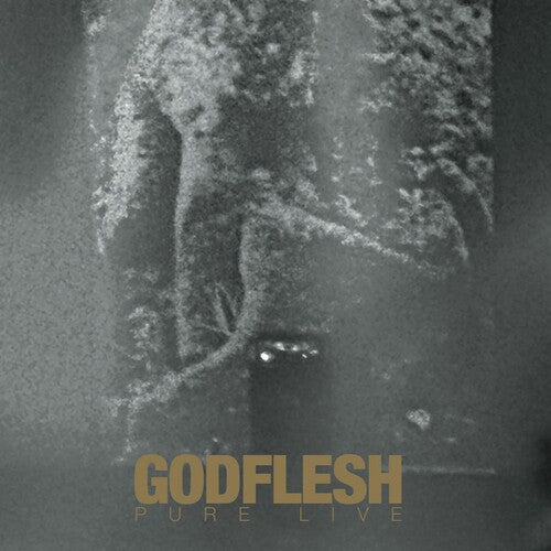 Godflesh: PURE LIVE