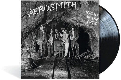 Aerosmith: Night In The Ruts