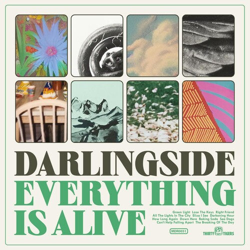 Darlingside: Everything Is Alive