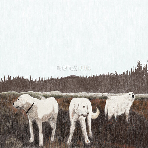 Foxing: The Albatross: Ten Years