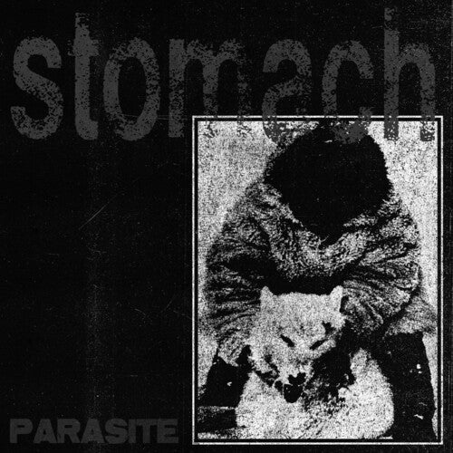 Stomach: Parasite