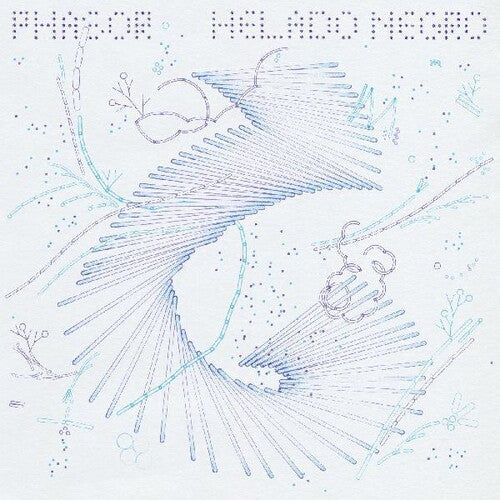 Helado Negro: Phasor