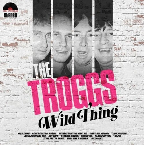 Troggs: Wild Thing