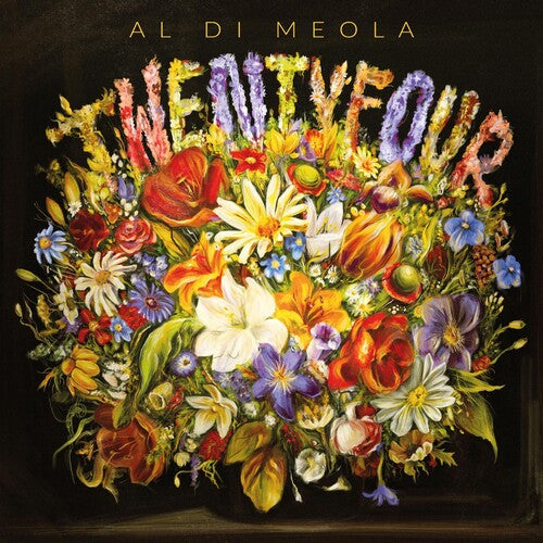 Di Meola, Al: Twentyfour