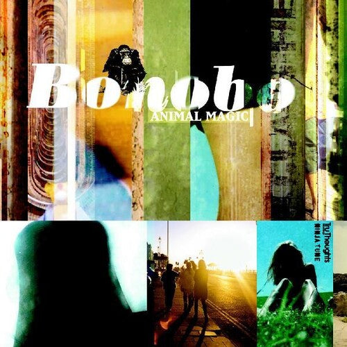 Bonobo: Animal Magic