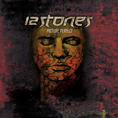 12 Stones: Picture Perfect