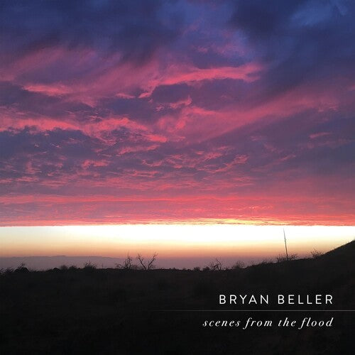 Beller, Bryan: Scenes From The Flood