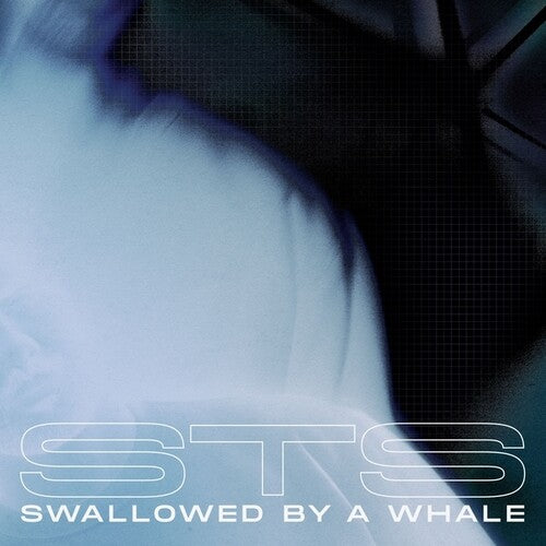 STS: Swallowed By A Whale