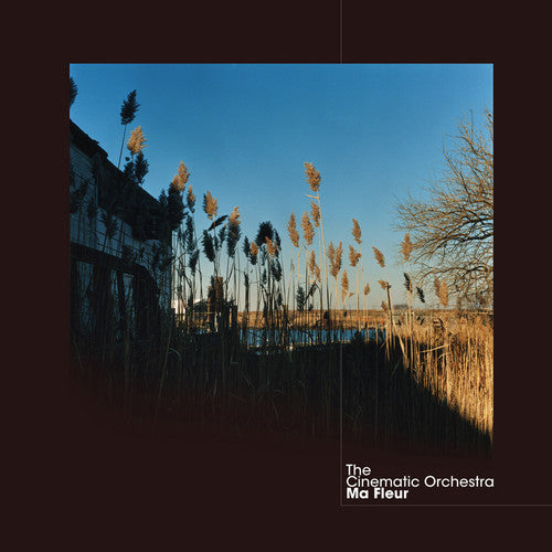 Cinematic Orchestra: Ma Fleur