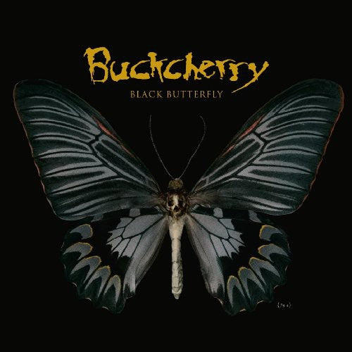 Buckcherry: Black Butterfly