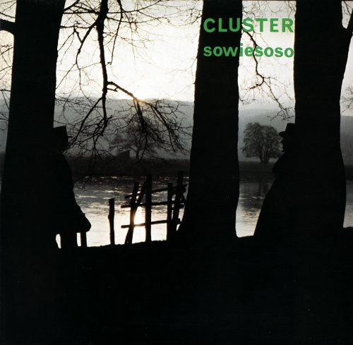 Cluster: Sowiesoso