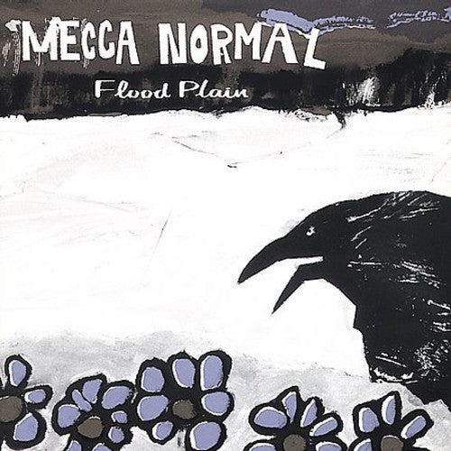 Mecca Normal: Flood Plain