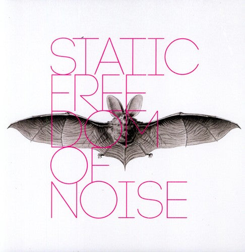 Static: Freedom of Noise