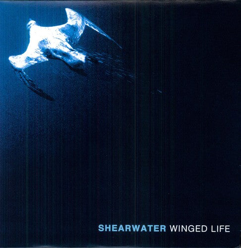 Shearwater: Winged Life