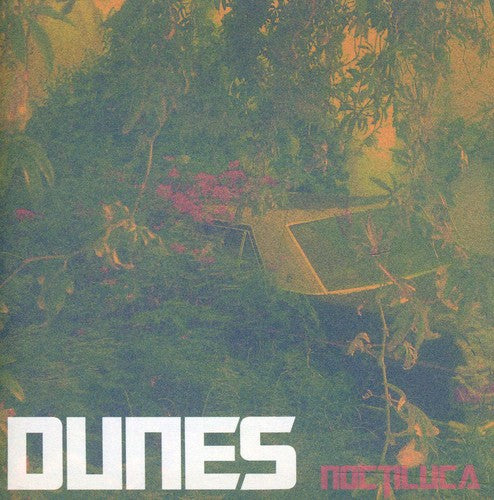 Dunes: Noctiluca