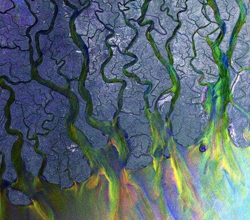 Alt-J: An Awesome Wave