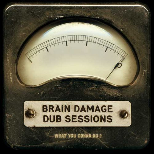 Brain Damage Dub Sessions: What You Gonna Do