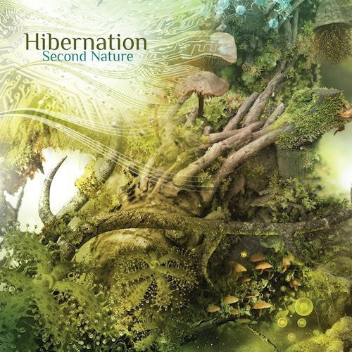 Hibernation: Second Nature