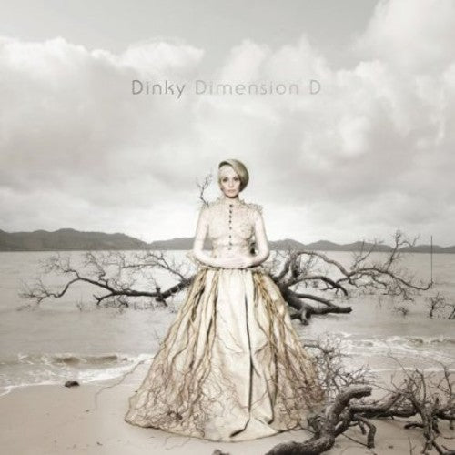 Dinky: Dimension D