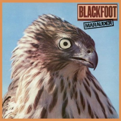 Blackfoot: Marauder