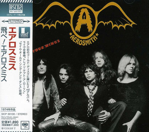 Aerosmith: Get Your Wings