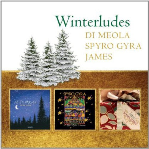 Dimeola, Al/Spyro Gyra/Boney James: Winterludes