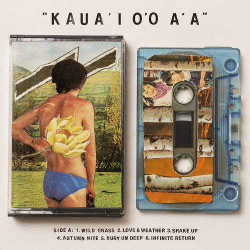 Gentle Friendly: Kaua'i O'O A'a