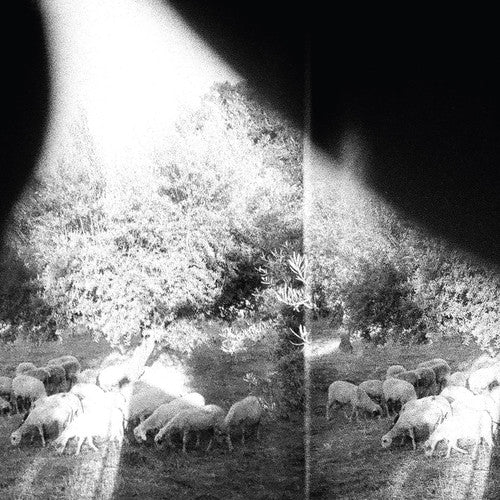 Godspeed You Black Emperor: Asunder Sweet & Other Distress