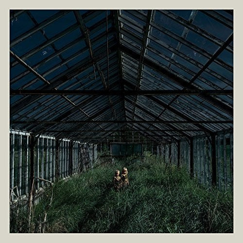 Foxing: Dealer