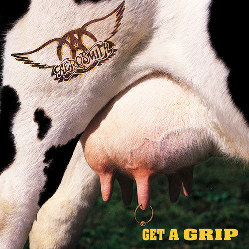 Aerosmith: Get A Grip