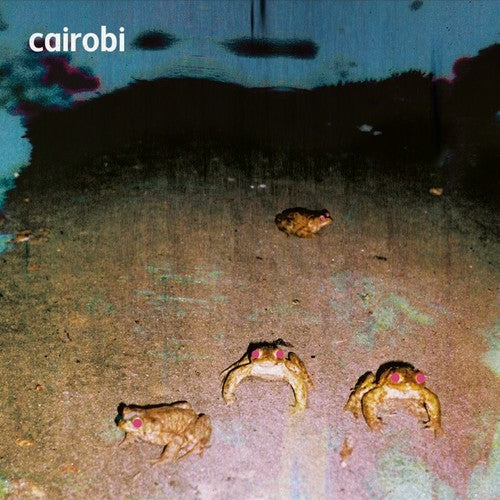 Cairobi: Cairobi