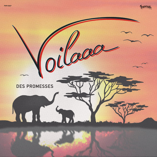 Voilaaa: Des Promesses