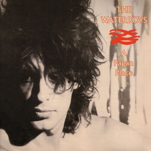 Waterboys: Pagan Place