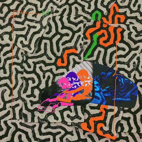 Animal Collective: Tangerine Reef