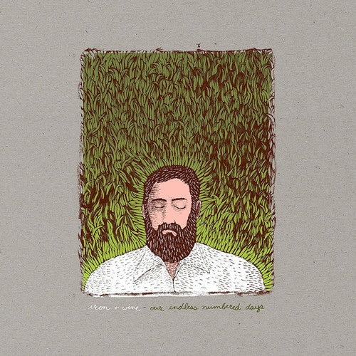 Iron & Wine: Our Endless Numbered Days