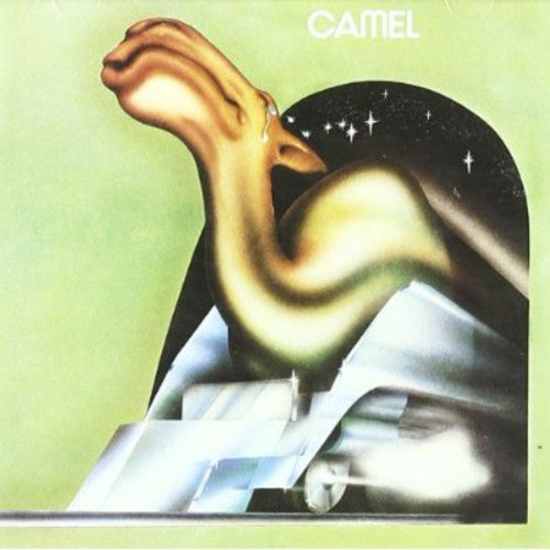 Camel: Camel