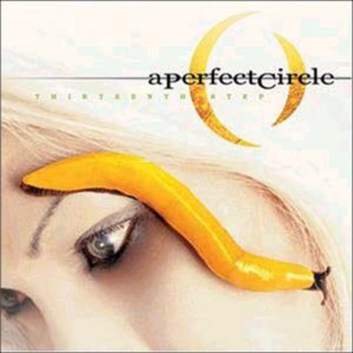 Perfect Circle: Thirteenth Step