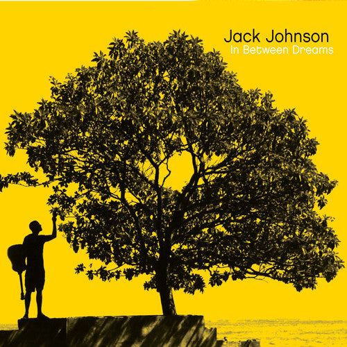 Johnson, Jack: In Between Dreams